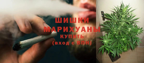 гидропоника Аркадак