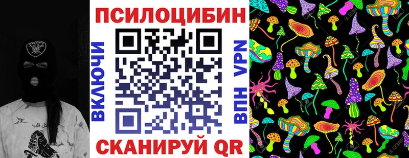 Галлюциногенные грибы Psilocybine cubensis  Семилуки 